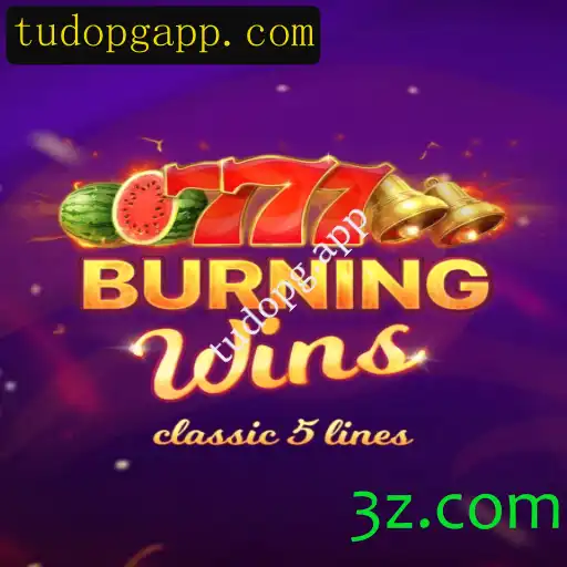 Explore o Fascinante Mundo de BurningWins com tudopg.app